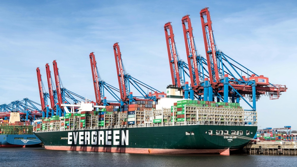 Cargo vessels and port logistics hub supporting commodity exports